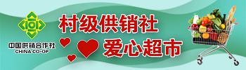 村级供销社