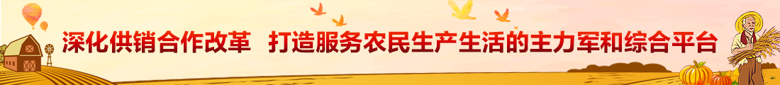 践行社会主义核心价值观弘扬文明诚信社会新风尚